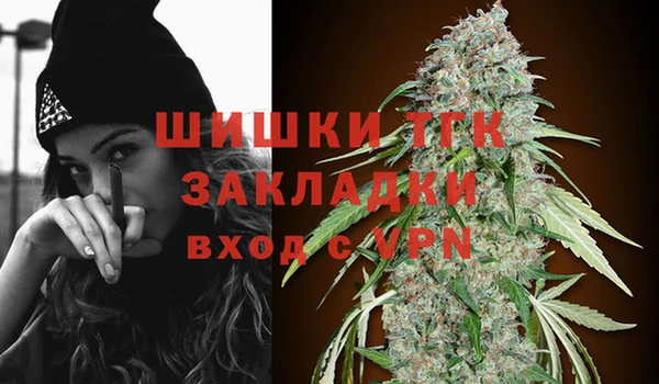 тгк Верея